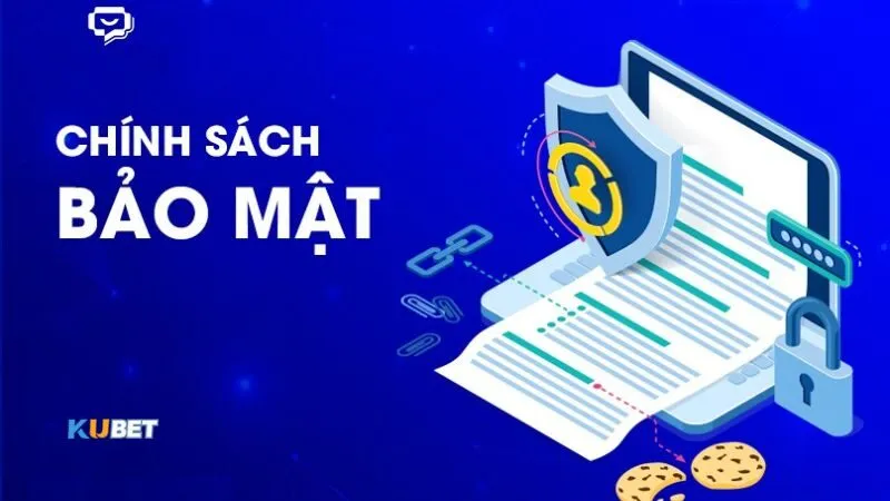 Nhà cái thu thập dữ liệu Media Nhà cái thu thập dữ liệu Media